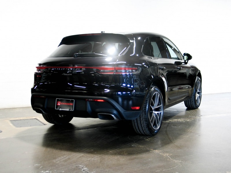 Macan