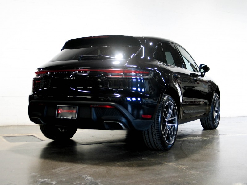 Macan