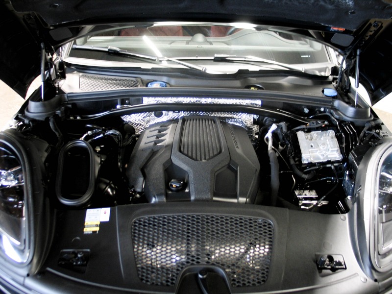 Macan